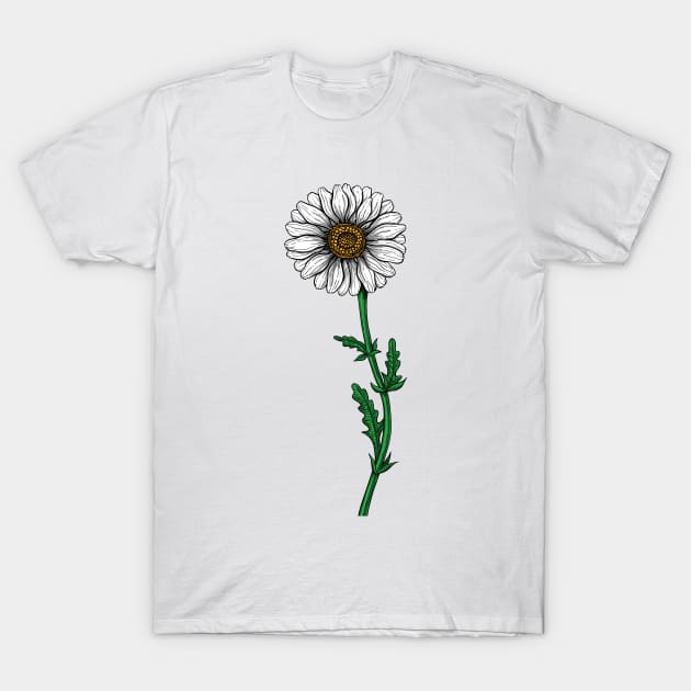 Daisy 2 T-Shirt by katerinamk